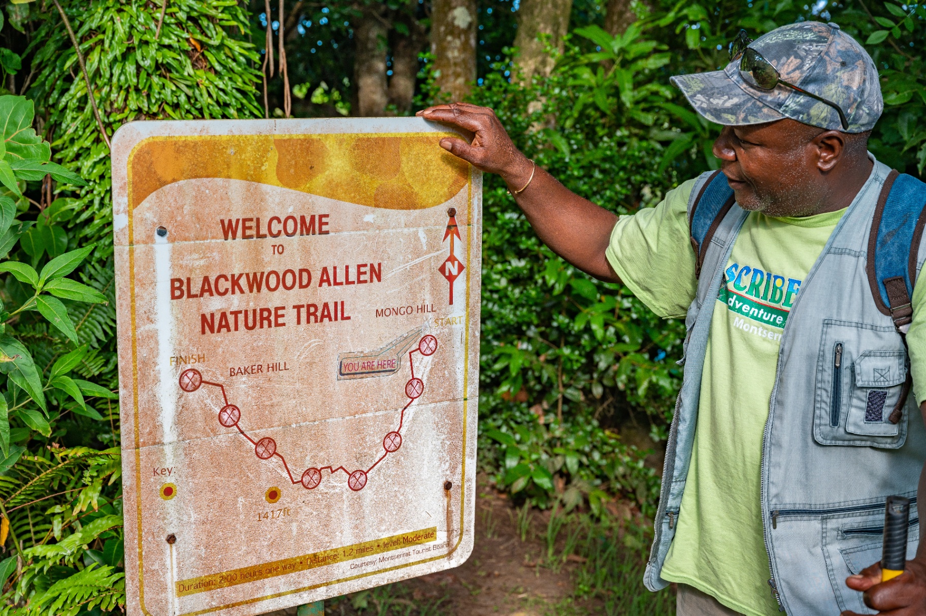 Lush green forest canopy on the Blackwood Allen Nature Trail, Montserrat