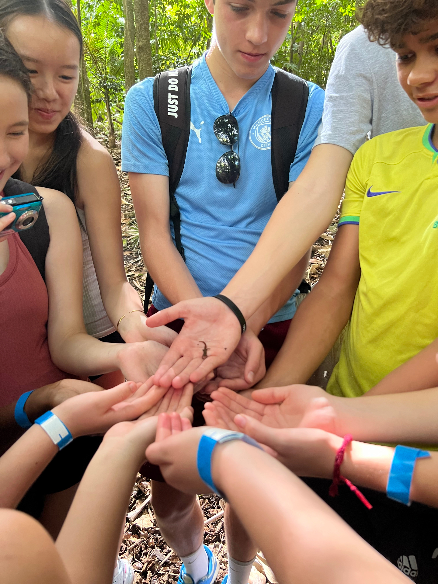 Hikers gathered around a tiny dwarf gecko in their hands