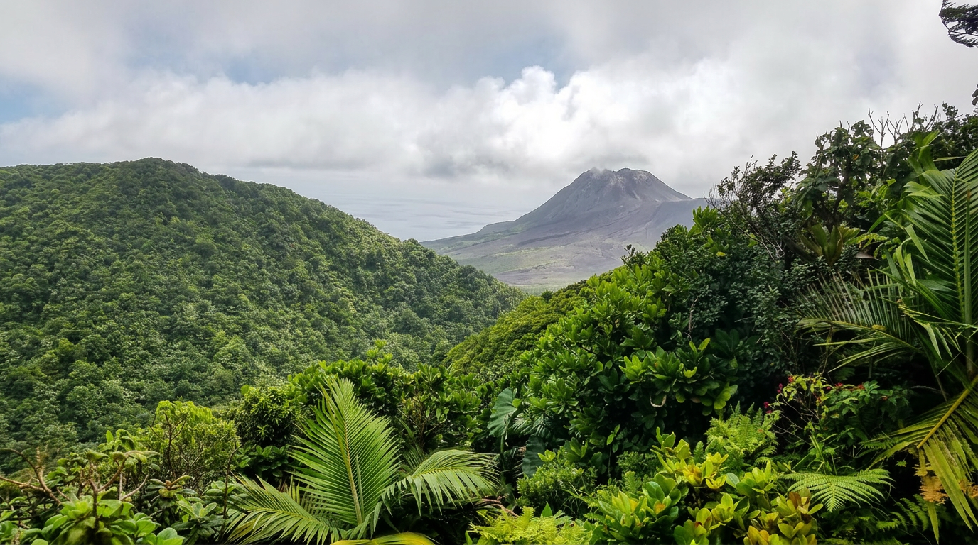 View of the Soufrière Hills volcano from the Hope Ridge trail